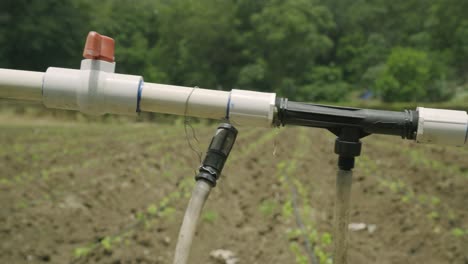 shot of irrigation tools and a field of red peppers and hot peppers