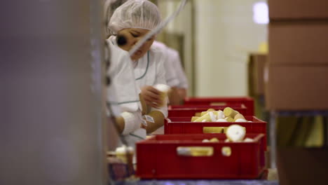 Trabajadores-En-La-Fábrica-De-Alimentos