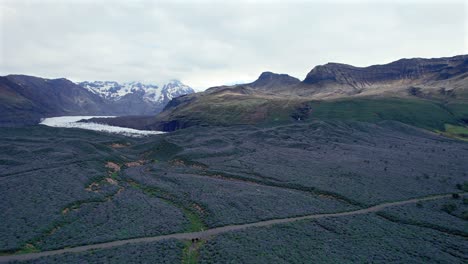 grandes campos cubiertos de flores de lupino con vistas a las montañas cubiertas de nieve y el glaciar en el fondo, islandia