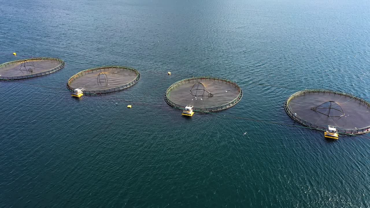 노르웨이에서 연어  ⁇ 시를 하는 공중 촬영