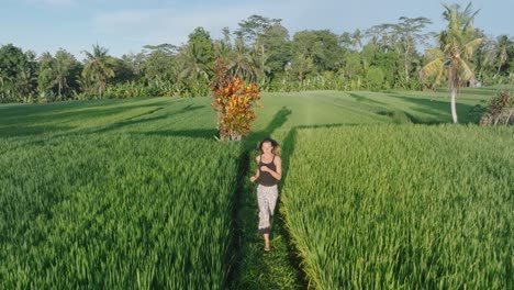 slow motion drone shot following barefoot woman running through rice paddies in ubud bali indonesia at sunrise