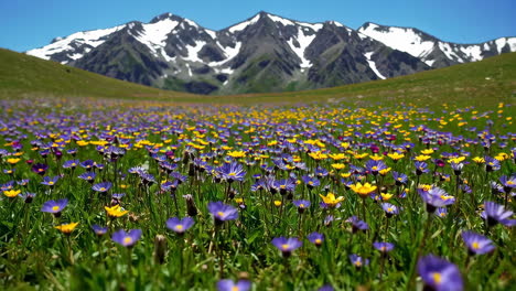 vibrant wildflower meadow with snow-capped mountains