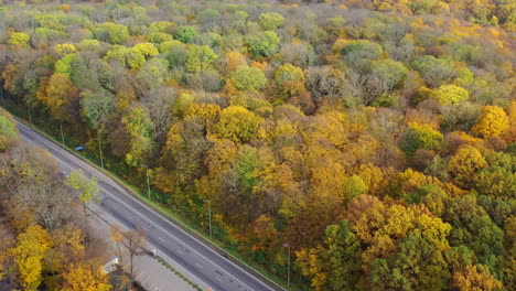 aerial view of autumn forest roadway. orange landscapes autumn highway.