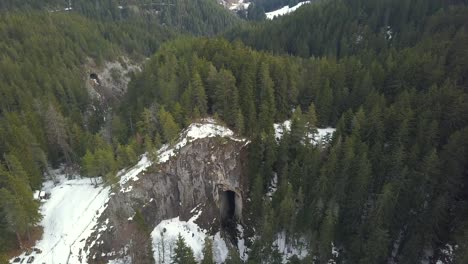 Aerial-Drone-View-Flight-over-pine-tree-forest-in-Mountain,-Bulgaria