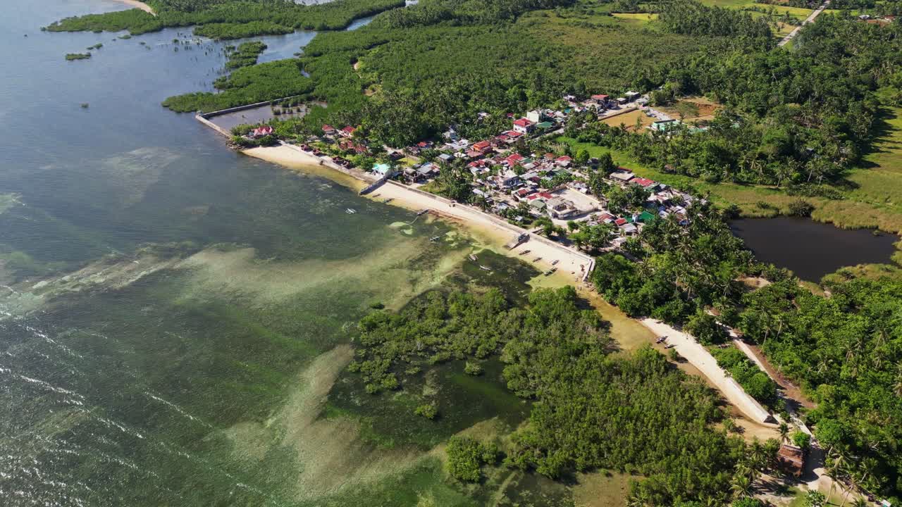 Mangrove Swamps On The Shores Near Barangay Yocti In San Andres, Catanduanes, Philippines. Aerial Shot