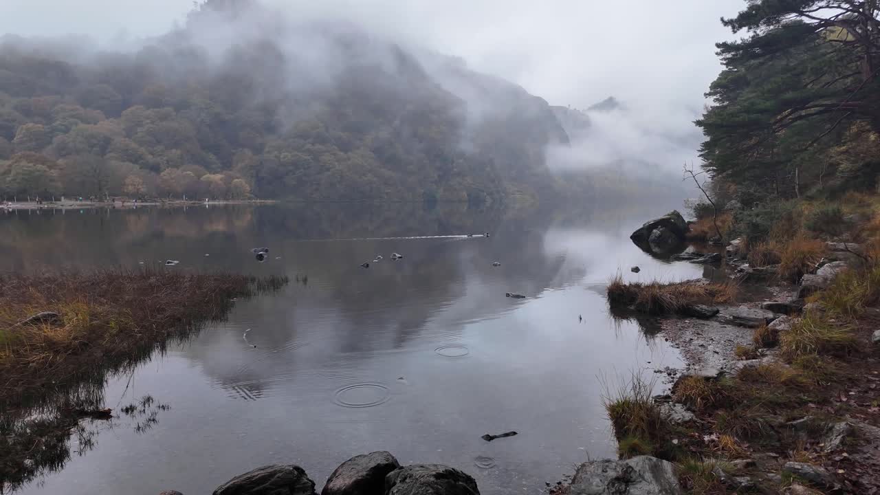 아일랜드의 웅장한 위치 위클로우 풍경, 상부 호수, 안개가 은 아침, 꿈 같은 풍경