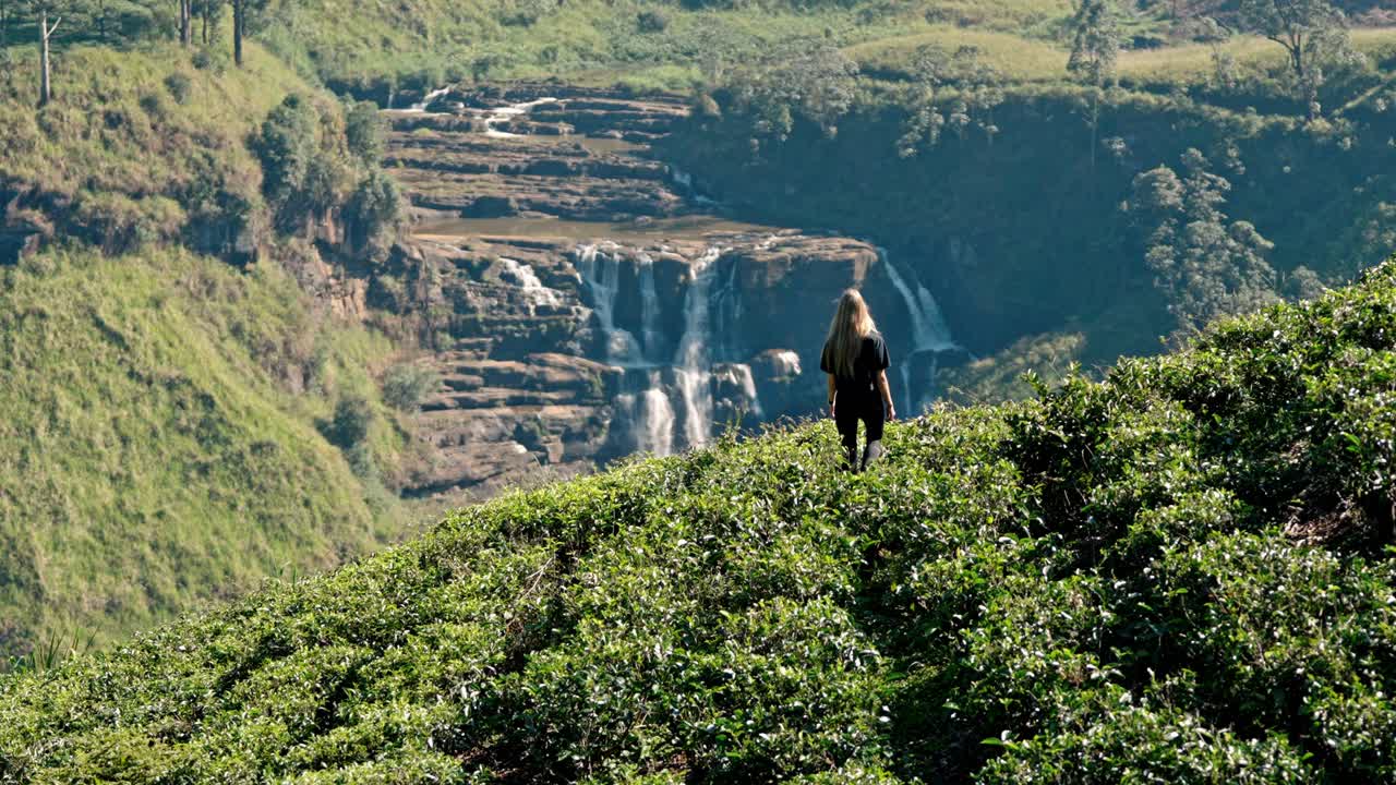 Footage of a woman walking through lush tea plantations at Saint Clair’s Falls in Nuwara Eliya, Sri Lanka.