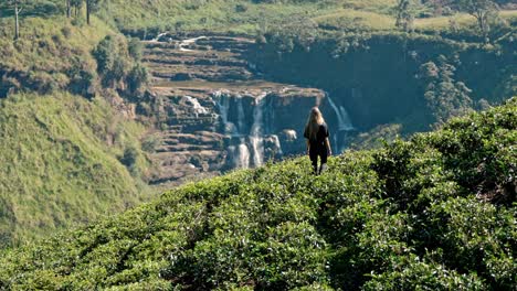 footage of a woman walking through lush tea plantations at saint clair’s falls in nuwara eliya, sri lanka.