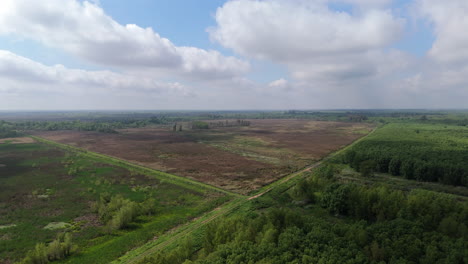 aerial overview deforestation site, cleared trees exposing brown soil, environmental impact visible from above, establishing backdrop