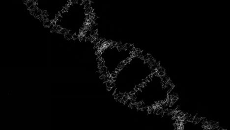 animación de una cadena de adn girando sobre un fondo negro