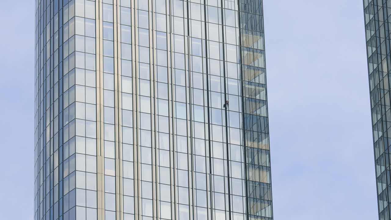 Professional Window cleaners at work