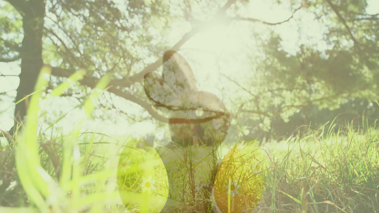 animación de huevos y campo cayendo sobre el conejo