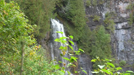 the chute à philomène waterfall flowing among trees in gaspesie in quebec, canada during summer