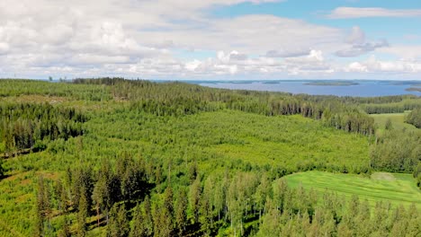 aerial view of forest with a lake and islands in the background on a sunny summer day