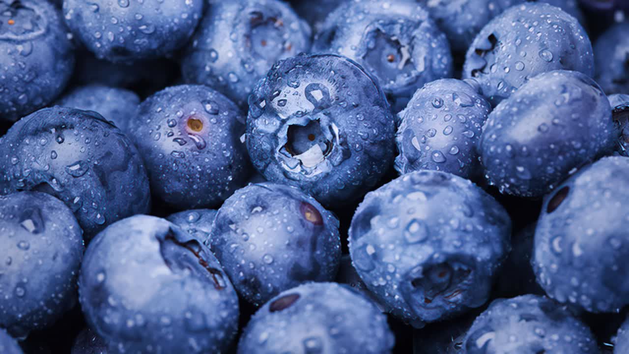 Wet and Fresh Blueberries, Fruit Background