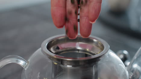 close-up of glass kettle with built-in filter as a hand pours loose tea leaves into it, the tea leaves fall into the filter, creating a cozy kitchen atmosphere perfect for tea brewing