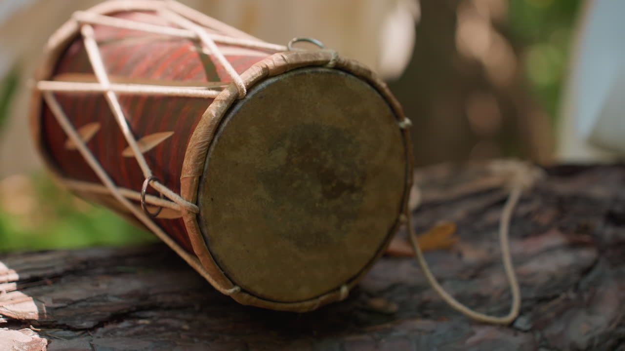 Close up of hand gently carrying traditional drum resting on forest log, sunlight reflecting off textured wood and leather surface, capturing natural rhythm