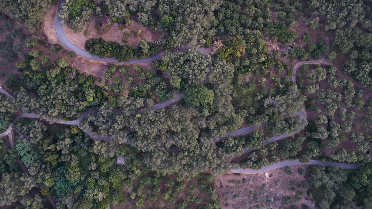 Aerial top-down view of a winding asphalt road through lush green forest and olive groves in Agioi Douloi, Corfu, Greece