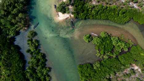 top down vertical aerial drone footage flying over a mangrove river in cambodia