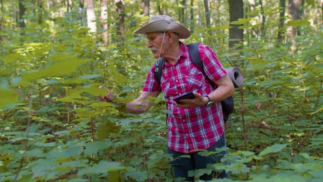 active senior elderly grandfather adventurer exploring forest trees, plants with her digital tablet