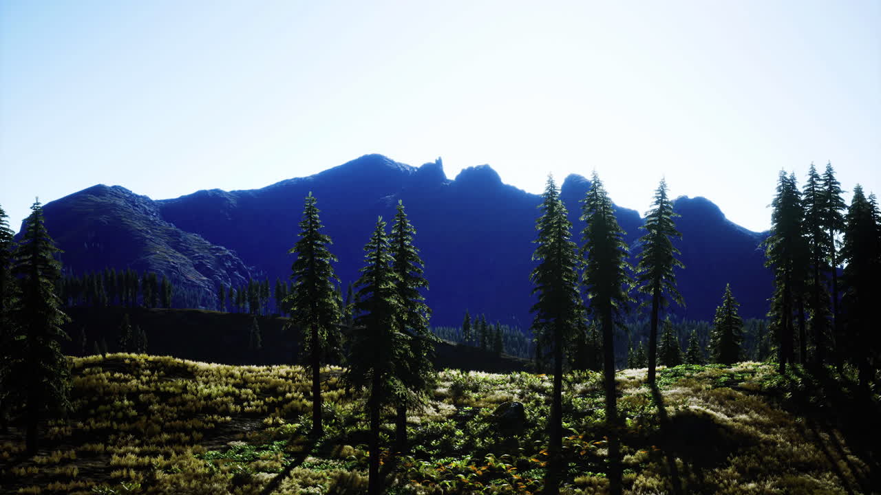 Majestic mountain landscape with towering trees in early morning light