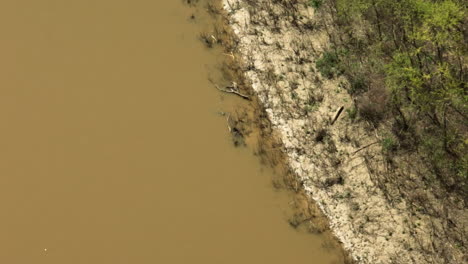 Agua-Marrón-Del-Río-Hatchie-En-El-Refugio-Nacional-De-Vida-Silvestre-De-Lower-Hatchie-En-Tennessee,-Estados-Unidos