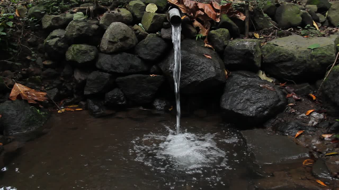 파이프에서 흐르는 숲 한가운데 있는 담수 - 대나무