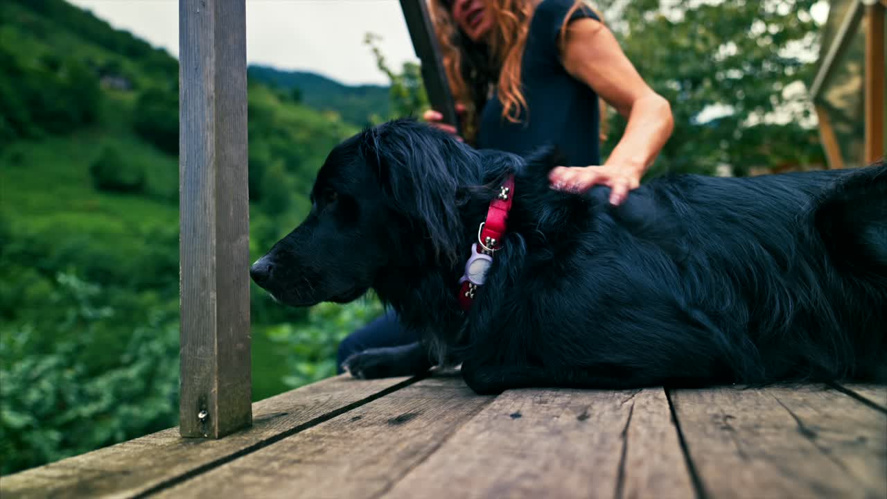 una mujer y su perro disfrutando de un momento de paz en una cubierta de madera con vistas a un valle exuberante y verde