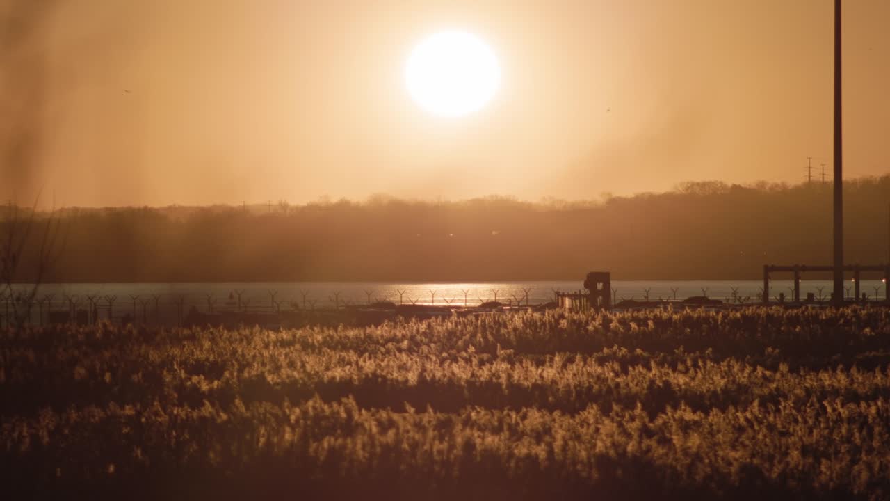 해가 물, 나무, 풀, 잡초 위로 지고 볼티모어 포트 맥헨리에서 넓은 황금시간 풍경이 촬영되었습니다.