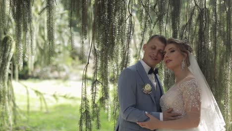 una novia y un novio de pie bajo un árbol, besándose