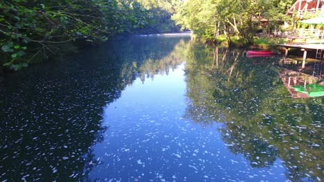 Aerial-Drone-Fly-Close-To-Water-of-Krka-River-Sava-Slovenia-Waterway-Canal-between-Green-Trees-Longest-Natural-Flow-of-Natural-Resource,-Summer-Warm-Weather