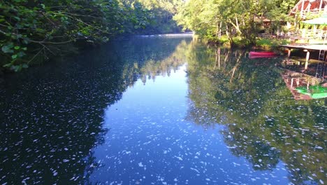 drone aéreo vuela cerca del agua del río krka sava eslovenia canal fluvial entre árboles verdes el flujo natural más largo de recursos naturales, clima cálido de verano