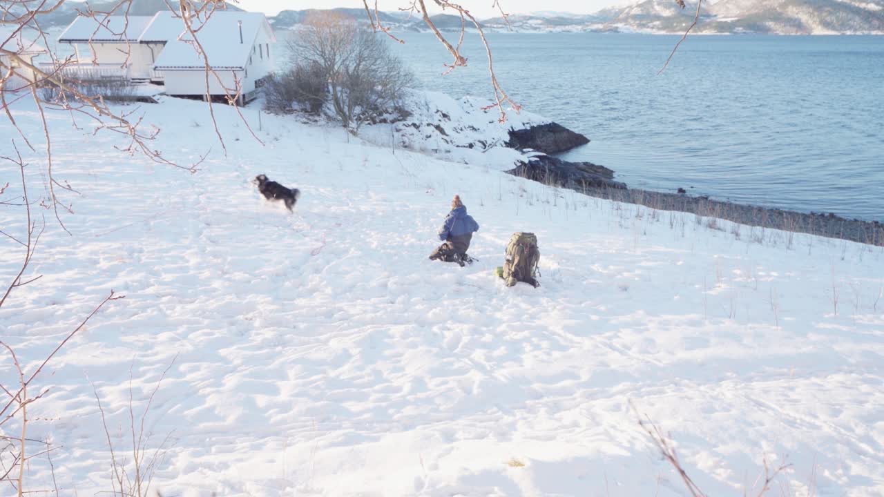 캠핑 텐트를 위해 눈을 평평하게 하는 캠핑카 근처의 설원에서 달리는 알래스카 말라뮤트