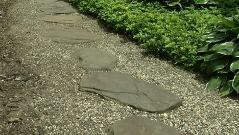 stepping stone pathway in a japanese garden