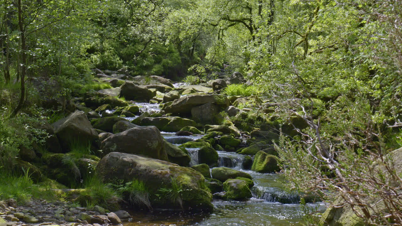Wyming Brook yang Indah - jalur air terjun yang memukau dekat Sheffield Yorkshire, Inggris