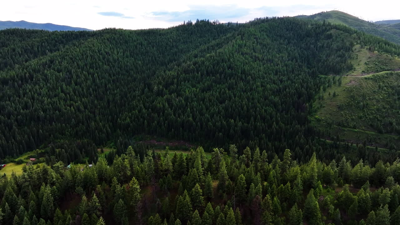 Sorvolo aereo di pini verdi e colline boscose su un villaggio di campagna