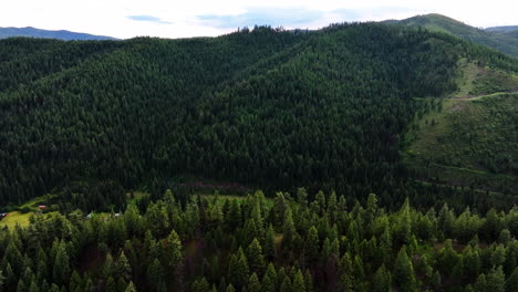 aerial fly over green pine trees and forested hills on the country village