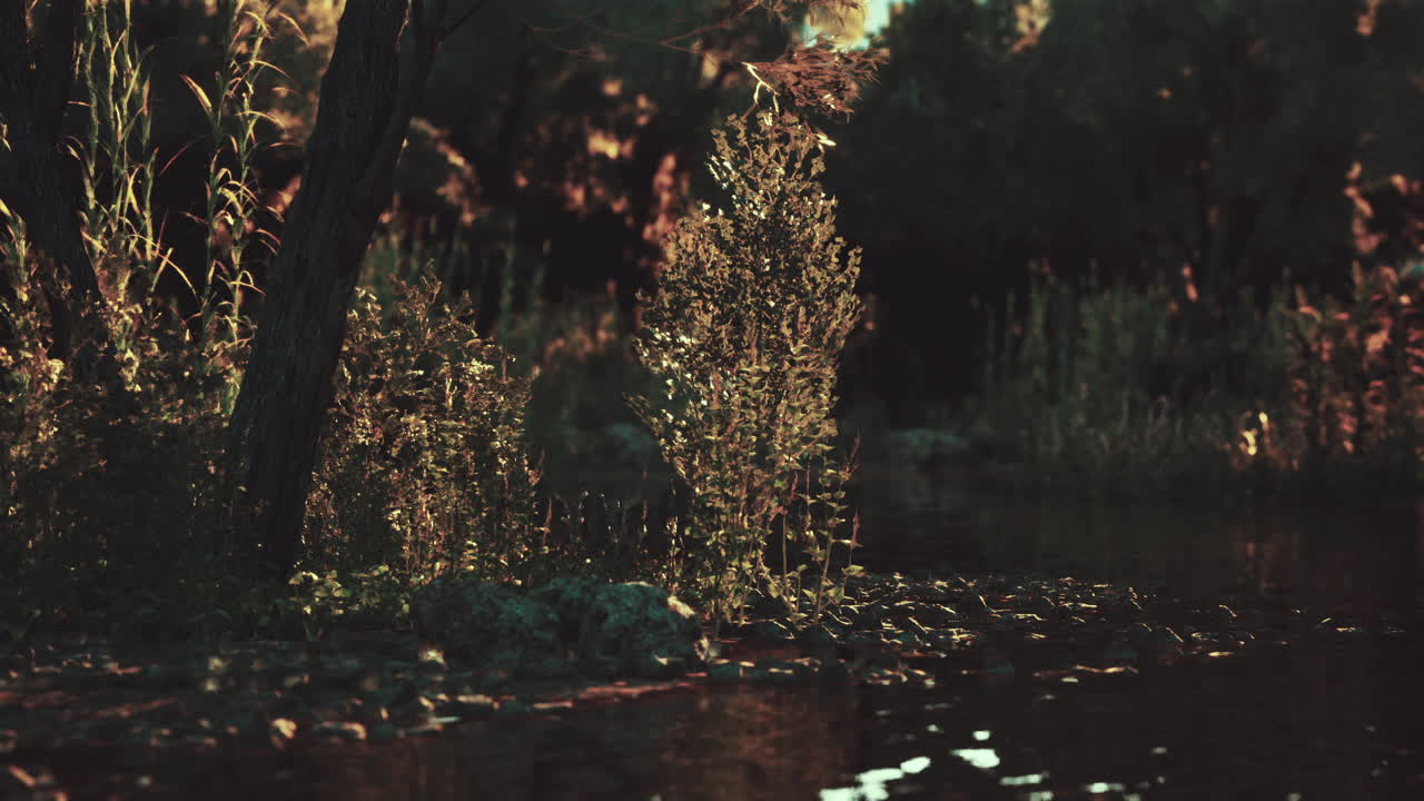 울창한 초록색과 차분한 물로 황금 시간 동안 평화로운 강변 전망