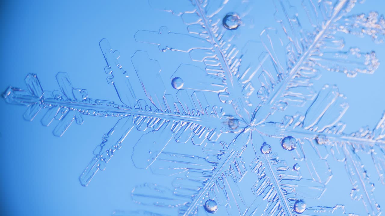 현미경 패닝 보기 파란색 배경 세부 정보에서 눈송이 닫기