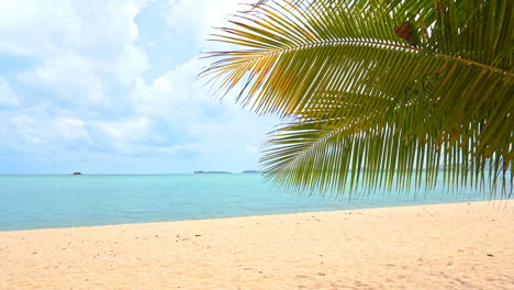 Tropical-Palms-beach-with-branches-swaying-in-foreground-and-cloudy-sky-over-beautiful-lagoon-water