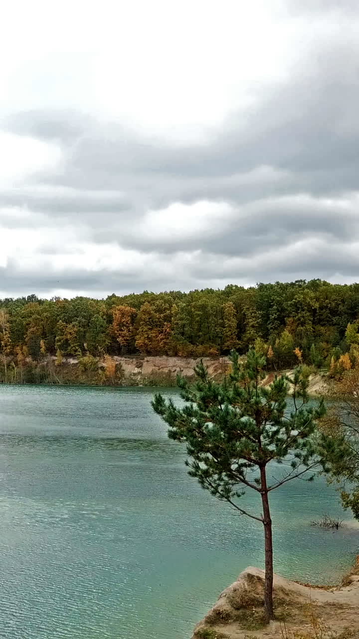 Aerial view over lake. Aerial view of forest with lake landscape Vertical video