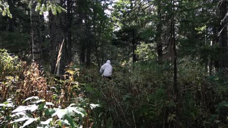 persona caminando por el bosque