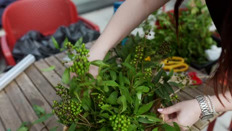 floral arrangement creation