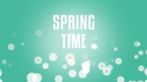 texto de primavera con flores margaritas blancas sobre un fondo verde vibrante