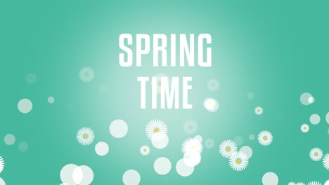 spring time text with blossoms white daisies on vibrant green background