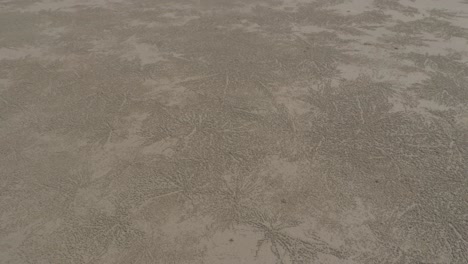 Sand-Under-Summer-Sunlight-At-Etty-Bay-Beach-In-Cassowary-Coast,-Queensland,-Australia