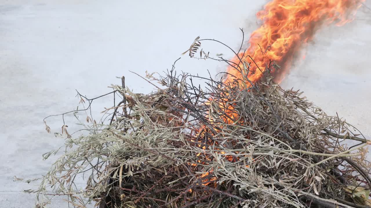 Dry Branches Ignite in Fire Safety Test