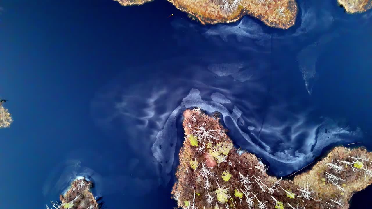un lago azul con una isla verde en el medio