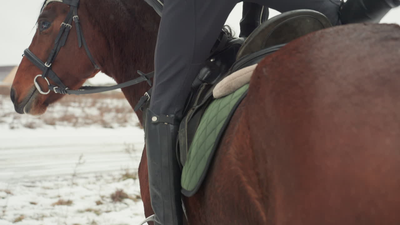 Il cavaliere monta in sicurezza. Lezione di equitazione che mostra una dimostrazione di tecniche di monta corrette e sicure. Lo studente dimostra con calma metodi appropriati e sicuri per montare a cavallo durante la lezione.