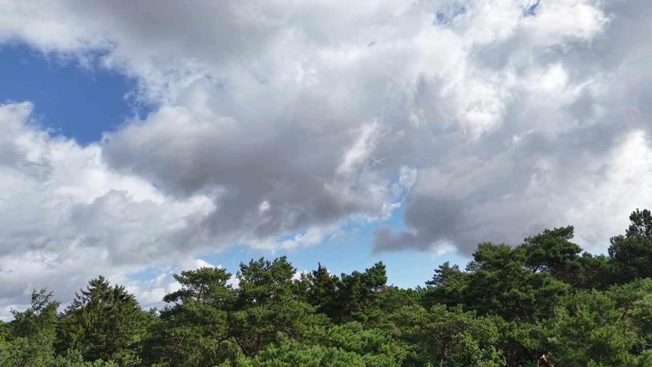 Una vista di nuvole drammatiche che si muovono su un vasto paesaggio di foresta verde sotto un cielo blu, catturando la bellezza della natura, il mutare del tempo e la pacifica natura selvaggia dall'alto